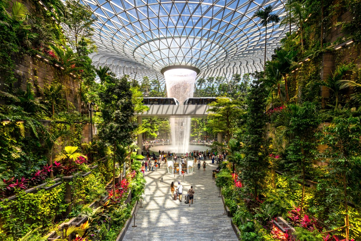 Changi Airport Terminal 5